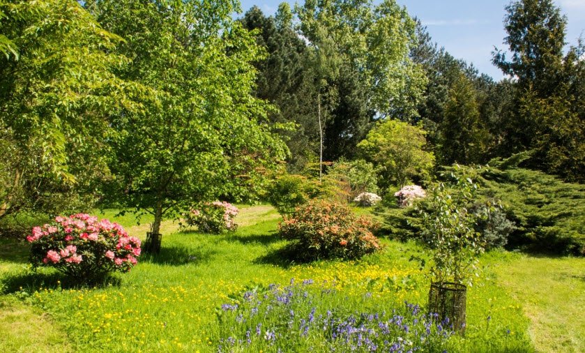 The Lovell Quinta Arboretum, United Kingdom